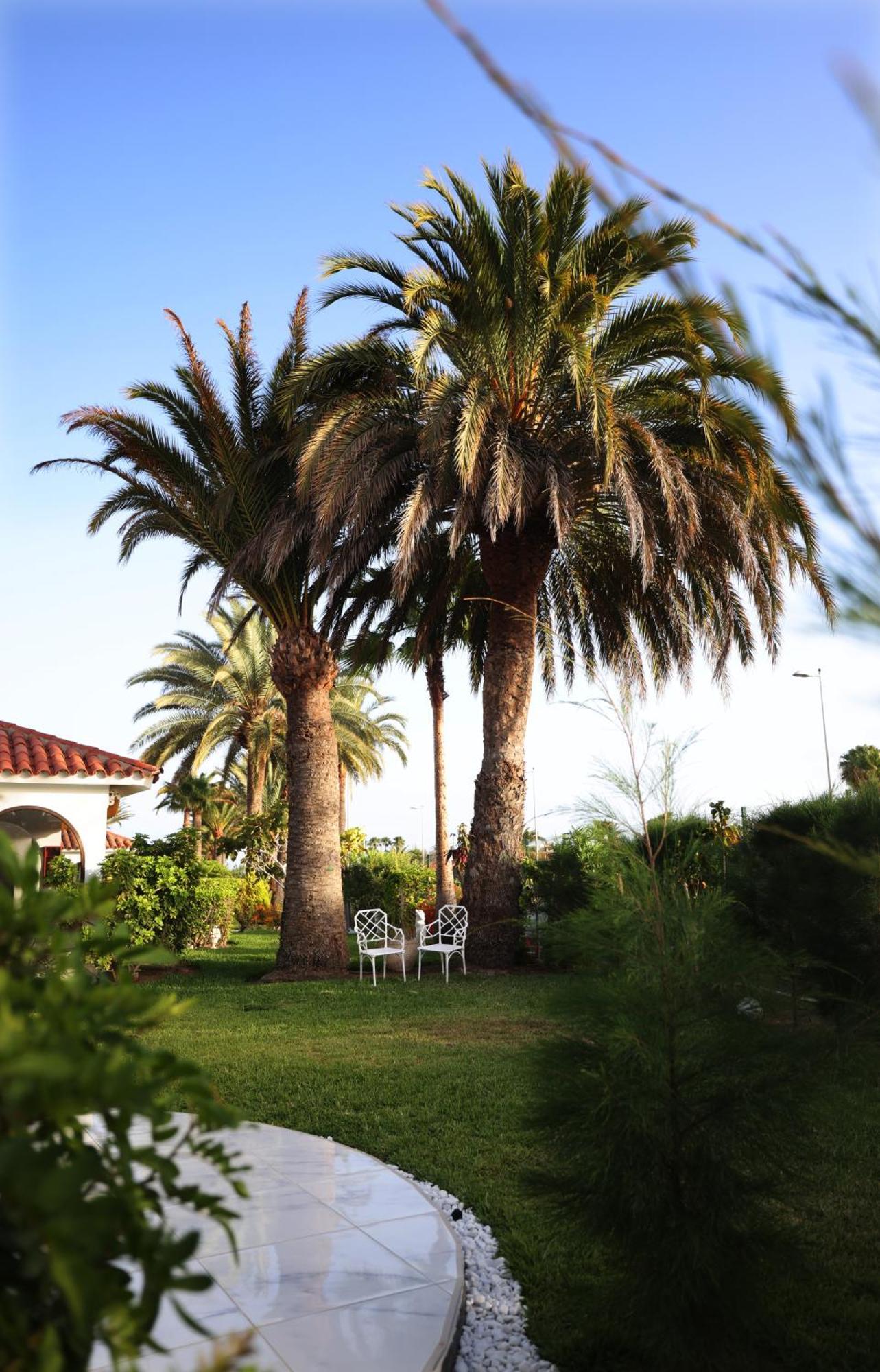 Sun Club Playa Del Ingles Ξενοδοχείο Εξωτερικό φωτογραφία